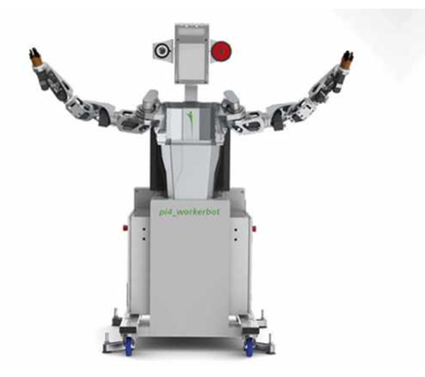 pi4 Workerbot