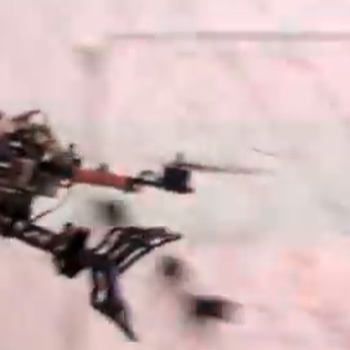Avian-Inspired Grasping For Quadrotor Micro Aerial Vehicles