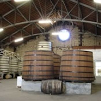 Brandy