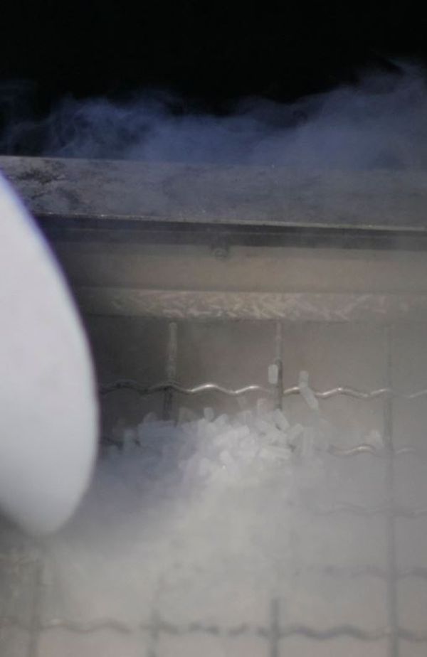 Cryogénie