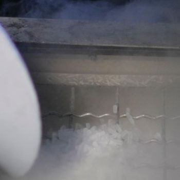 Cryogénie
