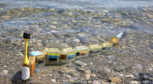 Envirobot Eel
