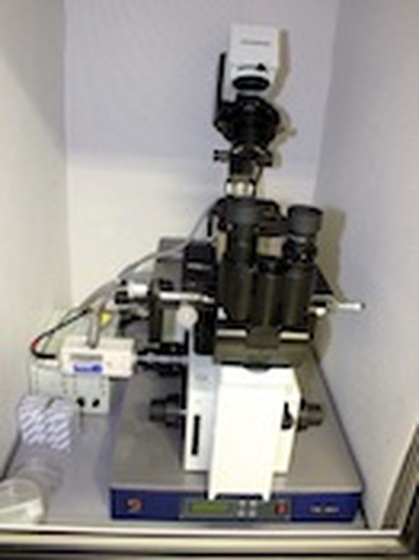 Atomic force microscope